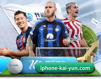 开云 APP（kaiyun）